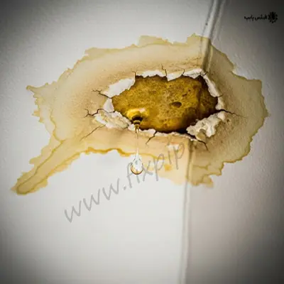 مهمترین نشانه وجود نم در سقف